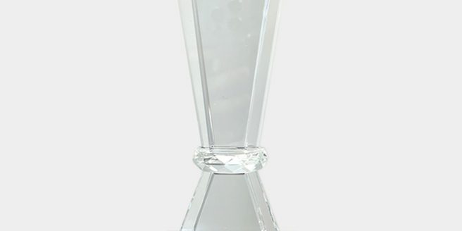 Trophy_Best Safety Enhancement Programme